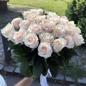 33 кремовые розы в Трускавце фото
