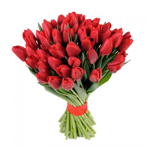 Фото товара 51 красный тюльпан в Трускавце