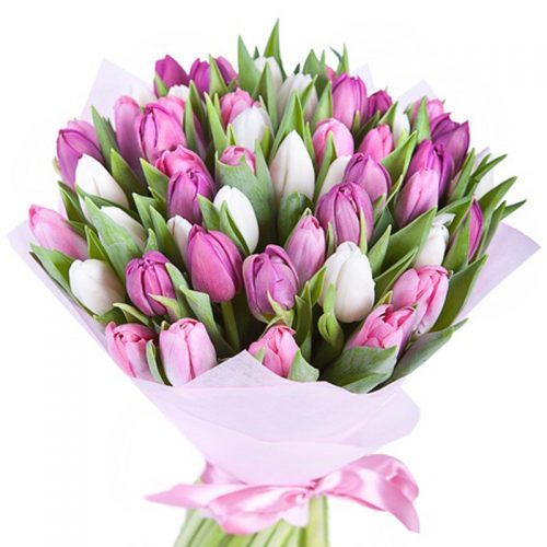 Фото товара 51 біло-рожевий тюльпан в Трускавце