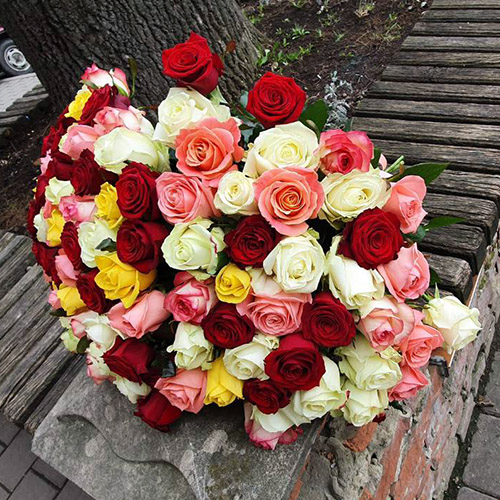 букет 101 разноцветная роза микс фото