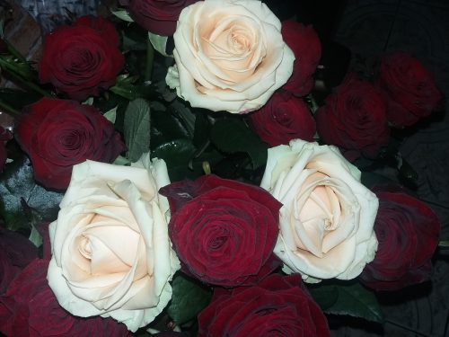 Фото товара 51 троянда мікс червона та біла в Трускавце
