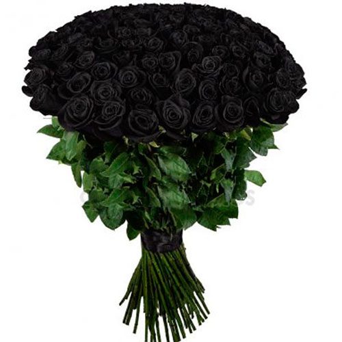 Фото товара 101 чорна троянда в Трускавце