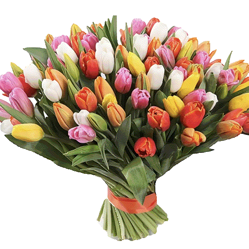 Фото товара 101 разноцветный тюльпан в Трускавце
