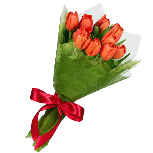 Фото товара 11 красных тюльпанов в Трускавце