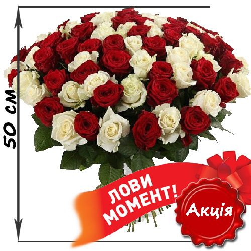 Фото товара 101 троянда мікс червона і біла (50 см) в Трускавце