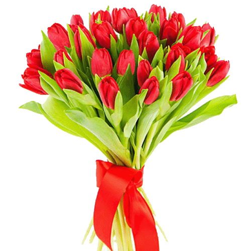 Фото товара 25 червоних тюльпанів в Трускавце