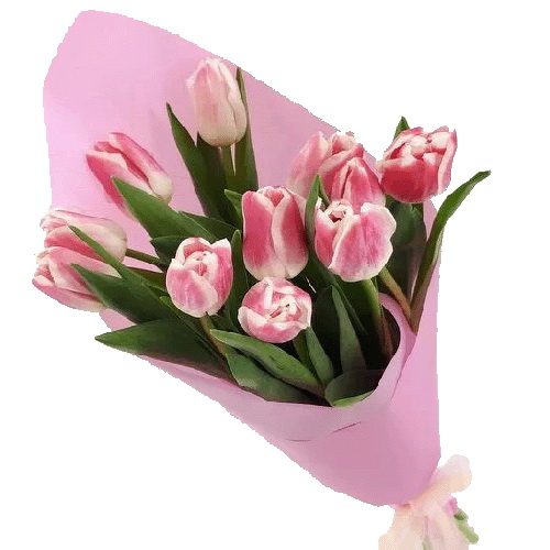 Фото товара 11 рожевих тюльпанів в Трускавце