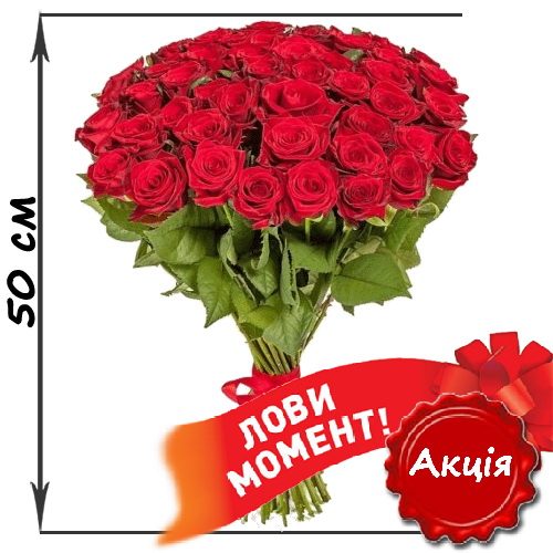 Фото товара 51 червона троянда (50см) в Трускавце