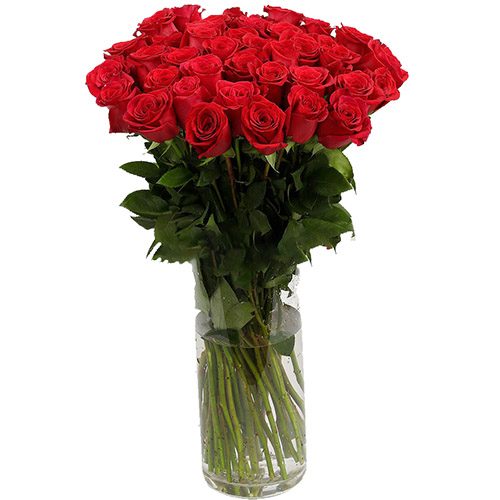 Фото товара Троянда імпортна червона (поштучно) в Трускавце