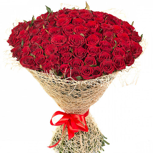 фото товара 101 червона троянда | «Роза Мімоза»