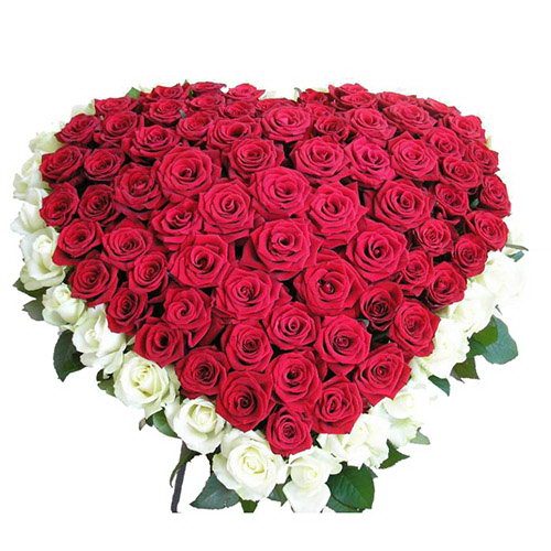 Фото товара 101 роза сердцем - белая, красная в Трускавце