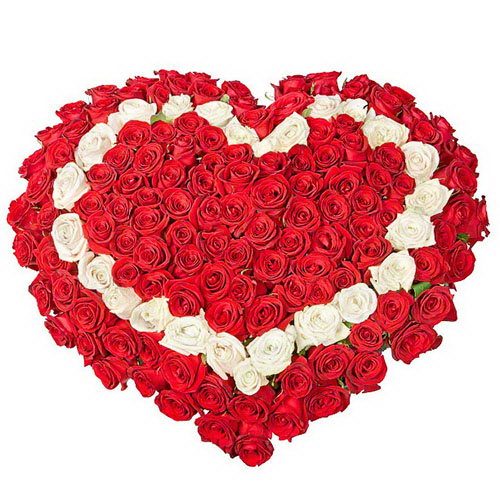 Фото товара 101 роза сердцем - красная, белая, красная в Трускавце
