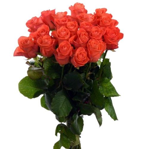 Фото товара 21 троянда "Вау" в Трускавце