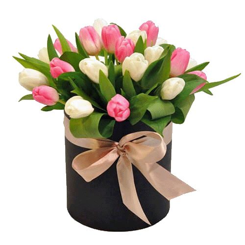 Фото товара 25 тюльпанів у капелюшній коробці в Трускавце