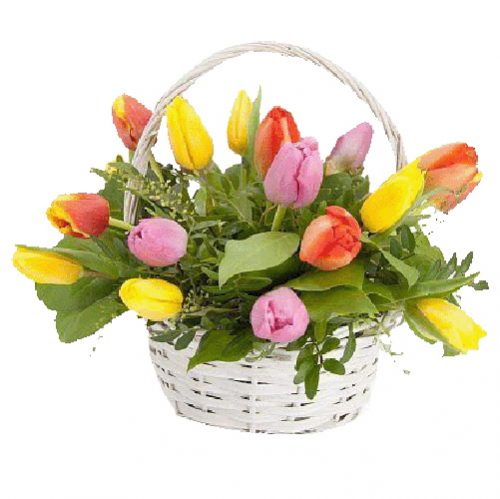 Фото товара 15 тюльпанів у кошику в Трускавце