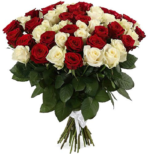 Фото товара 51 червона та біла троянда в Трускавце
