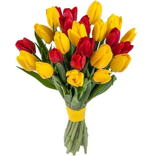 Фото товара 15 червоно-жовтих тюльпанів (зі стрічкою) в Трускавце