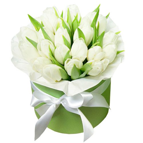 Фото товара 21 белый тюльпан в коробке в Трускавце