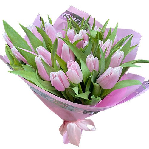 Фото товара 21 ніжно-рожевий тюльпан в Трускавце