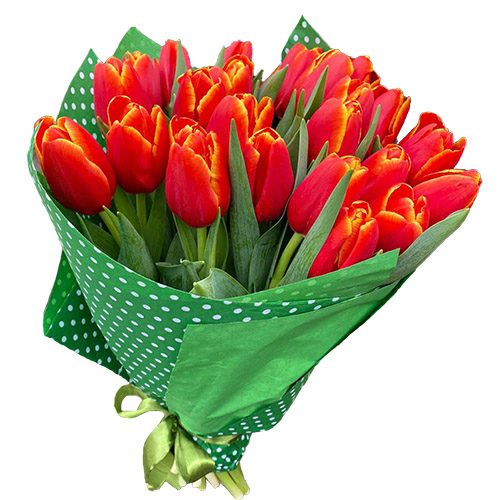 Фото товара 21 тюльпан "Маковый цвет" в Трускавце
