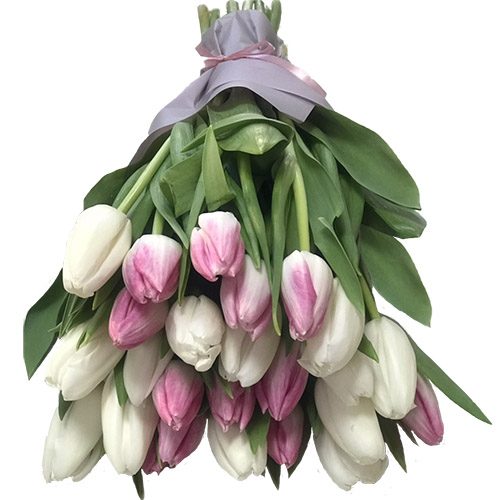Фото товара 25 бело-розовых тюльпанов в Трускавце
