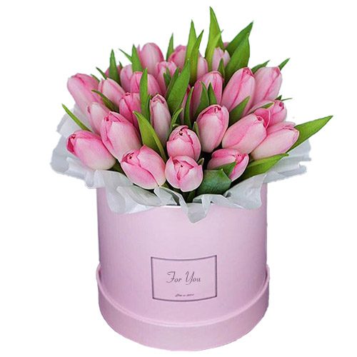 Фото товара 31 ніжно-рожевий тюльпан у коробці в Трускавце