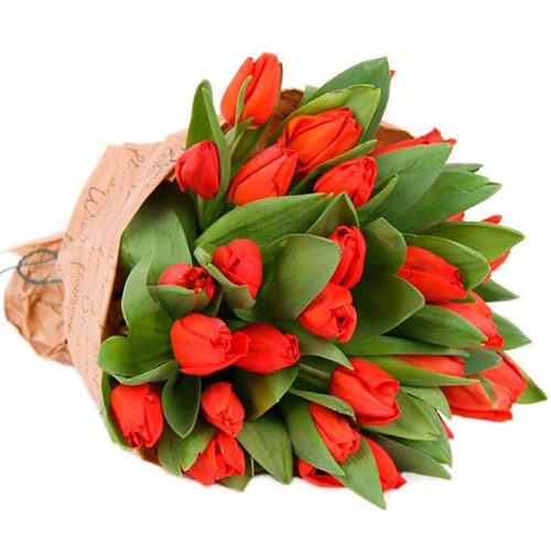 Фото товара 35 червоних тюльпанів у "газеті" в Трускавце