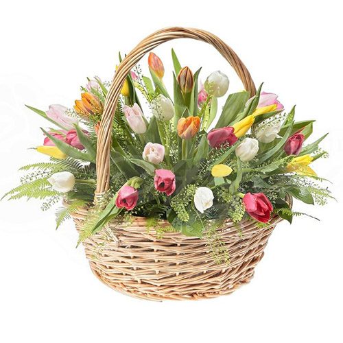 Фото товара 45 тюльпанів асорті в кошику з декором в Трускавце