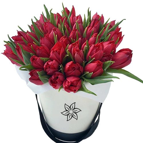 Фото товара 45 червоних тюльпанів у коробці в Трускавце