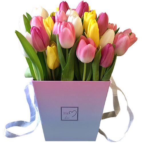 Фото товара 31 тюльпан "Весенний ветер" в квадратной коробке в Трускавце