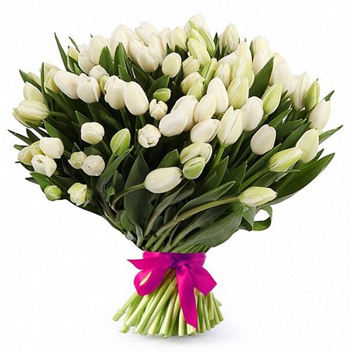Фото товара 51 білий тюльпан "Джульєтта" в Трускавце