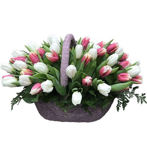 Фото товара 51 біло-рожевий тюльпан у кошику в Трускавце