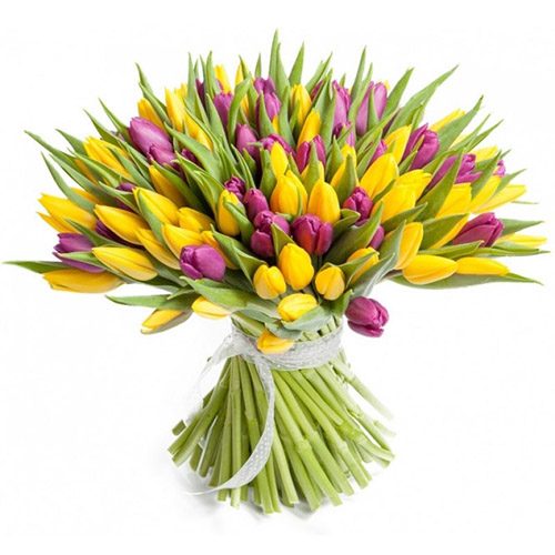 Фото товара 75 фіолетово-жовтих тюльпанів в Трускавце