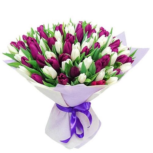 Фото товара 75 пурпурно-белых тюльпанов в Трускавце