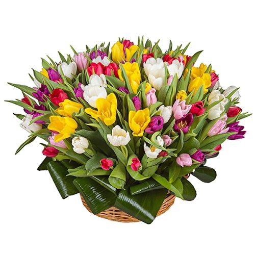 Фото товара 75 тюльпанов микс (все цвета) в корзине в Трускавце