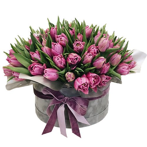 Фото товара 101 пурпурный тюльпан в коробке в Трускавце