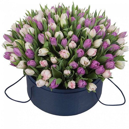 Фото товара 201 тюльпан (два цвета) в коробке в Трускавце