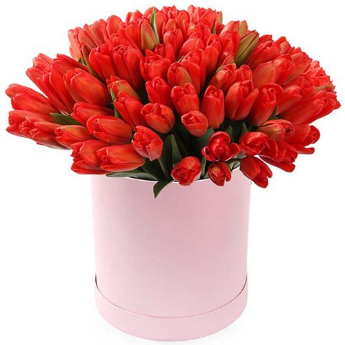 Фото товара 101 червоний тюльпан у коробці в Трускавце