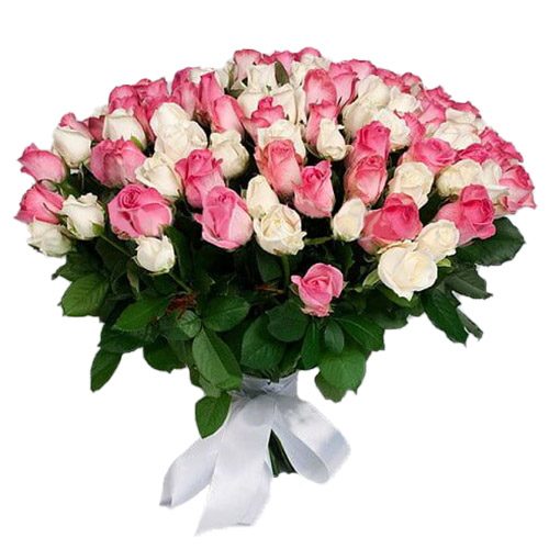 Фото товара 101 белая и розовая роза в Трускавце