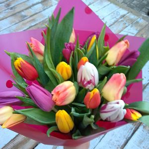 букет 25 разноцветных тюльпанов в Трускавце фото