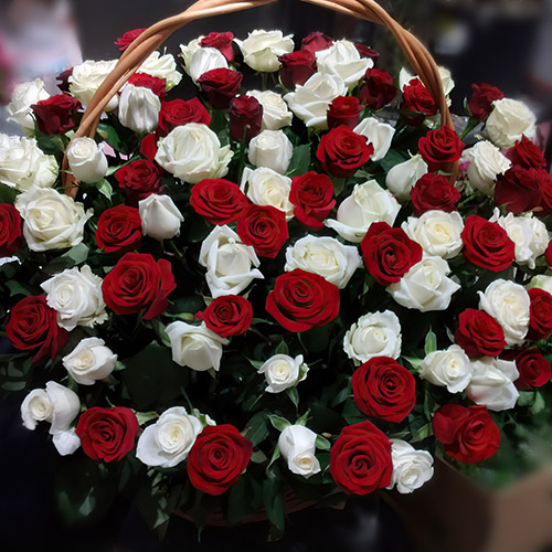Фото товара Корзина красных и белых роз в Трускавце