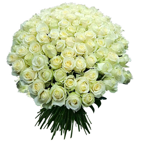Фото товара 101 белая роза в Трускавце