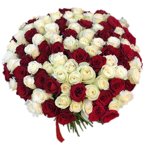 Фото товара 101 червона і біла троянда в Трускавце