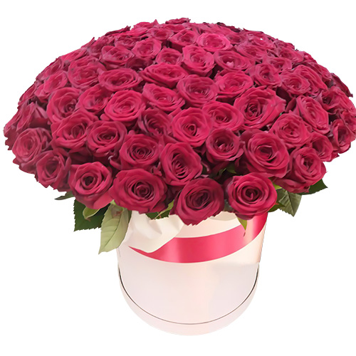 Фото товара 101 роза красная в шляпной коробке в Трускавце