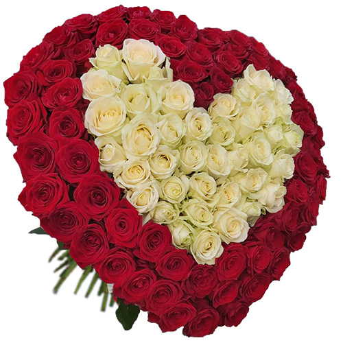 Фото товара Сердце 101 роза - красная, белая в Трускавце