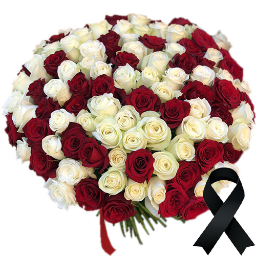 Фото товара 100 красно-белых роз в Трускавце