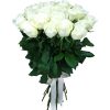 Фото товара 25 белых роз в Трускавце