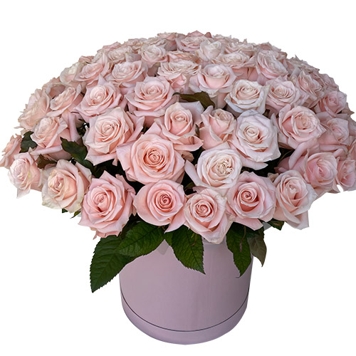 Фото товара 101 рожева троянда в коробці в Трускавце