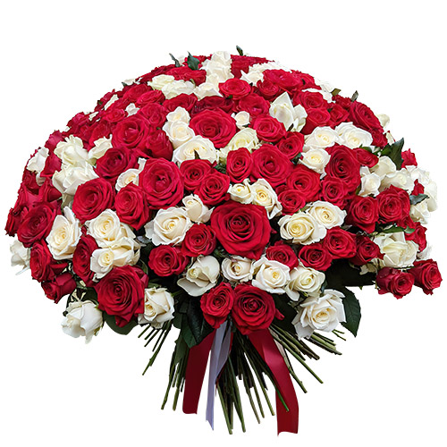 Фото товара 201 червона і біла троянда в Трускавце