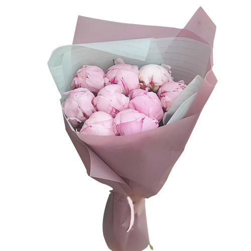 Фото товара 9 светло-розовых пионов в Трускавце